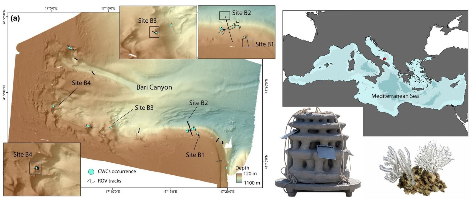 Artificial Reef Structures in the Bari Canyon