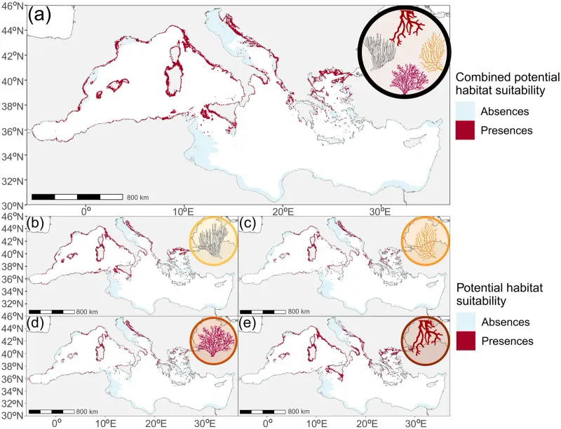 Modelling the Distribution of Key Mediterranean Gorgonians: An Ensemble Approach to Unravel Broad‐Scale Patterns and Guide Conservation Efforts