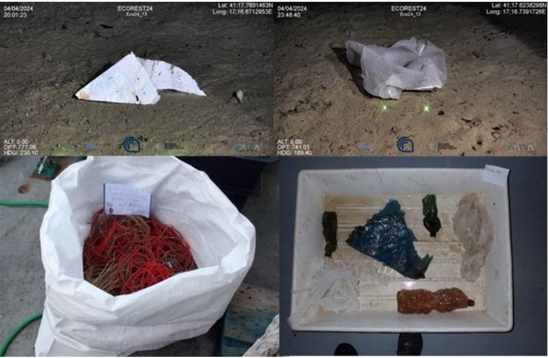 Seabed litter removal in the Bari Canyon
